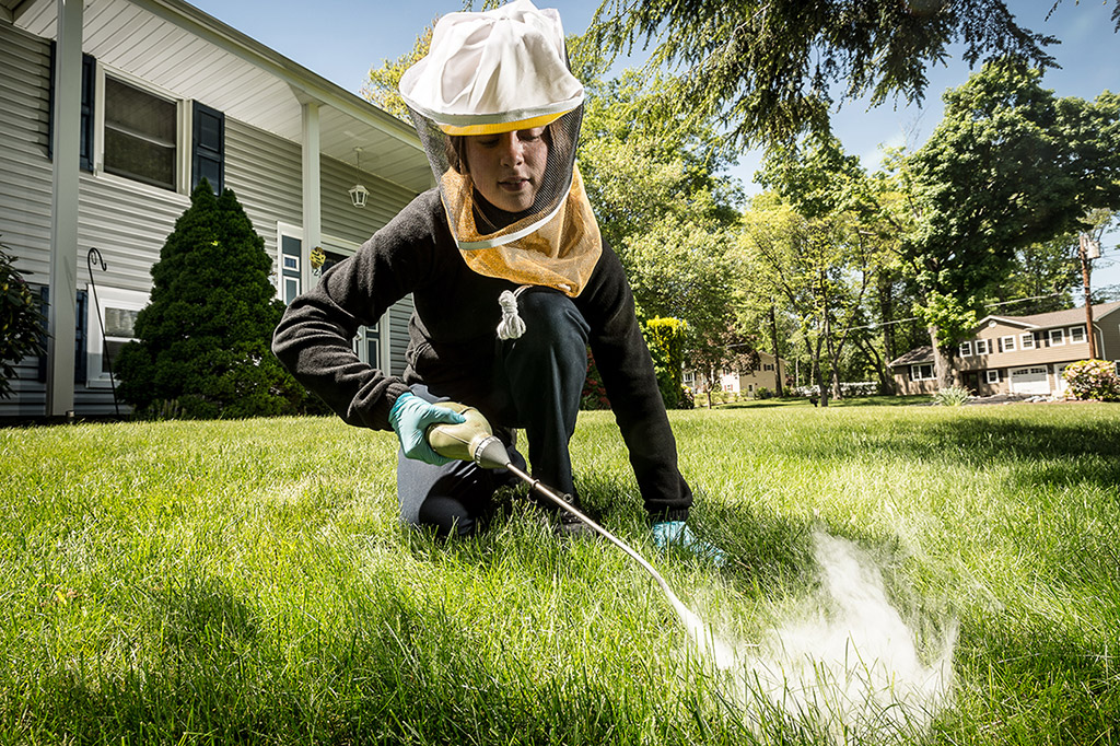 Pest Control Melbourne