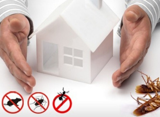 Pest Control Melbourne